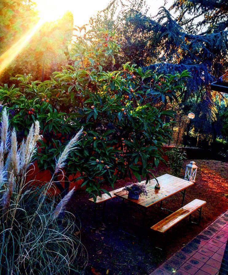Bed and Breakfast Casa Mac&Rose . San Quirico dʼOrcia Exterior foto